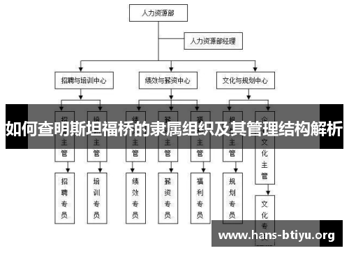 如何查明斯坦福桥的隶属组织及其管理结构解析