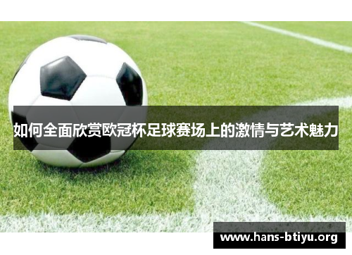 如何全面欣赏欧冠杯足球赛场上的激情与艺术魅力
